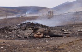 Забайкальский край вновь заполыхал