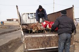 ​Для нас, редакции «Вечорки», война с бухлом началась давно — еще в 2014 году.