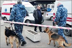 Телефонной  террористкой в Чите оказалась медсестра  - мать троих детей