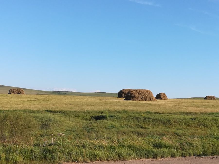 Дальневосточный гектар. Кому он нужен в Забайкалье?