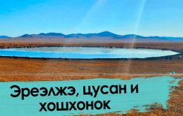 Веганы в шоке: что едят монголы в степи