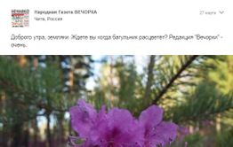 Gazetavechorka.ru сообщает