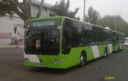 Возобновился, но подорожал. Автобус стал ходить на Молоковку