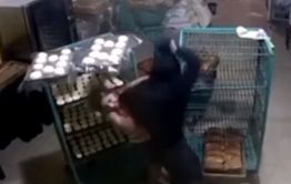 Работница атамановской пекарни скончалась после разбойного нападения