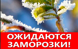 Лето кончилось: на Забайкалье надвигаются заморозки 