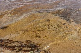 Подъем уровня воды продолжится на реках Забайкалья