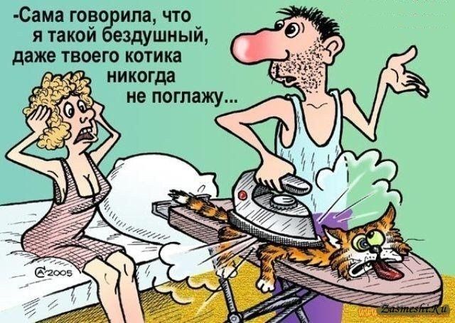 В Могоче разыскивают маньяка, убившего восемь котов и кошек