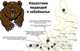 ​Медведя, вышедшего к домам за Ингодой, застрелили