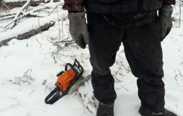 Забайкалец под видом валежника незаконно срубил деревья