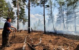 В Забайкалье действуют шесть лесных пожаров