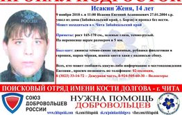 Подростка из Борзи ищут в Чите