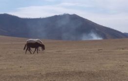 ​Степь горит вблизи охранной зоны Сохондинского заповедника в Кыринском районе