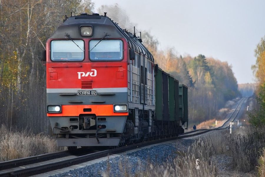 ​ОПГ осудили в Забайкалье за кражу 9 тонн дизтоплива из тепловозов