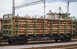 С начала года в Китай из России перевезено более 10 млн. тонн груза