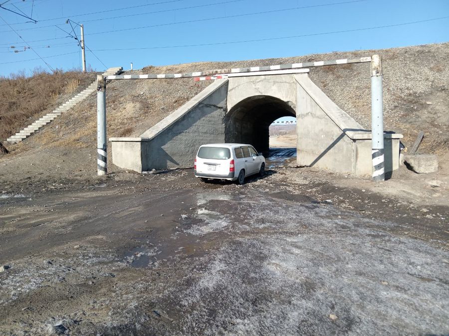 Власти региона: 