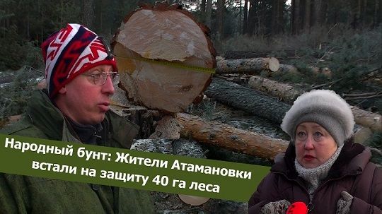 ​«Вечорка ТВ»:​Народный бунт: Жители Атамановки встали на защиту 40 га леса
