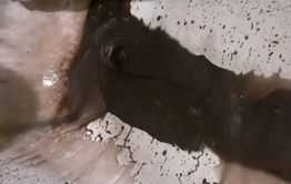 Жители Горного пожаловались на черную воду из крана 
