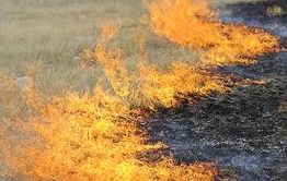 В семи районах Забайкалья открыли пожароопасный сезон
