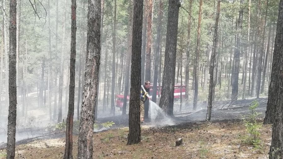 Жители Атамановки отстояли свой поселок и лес от пожара