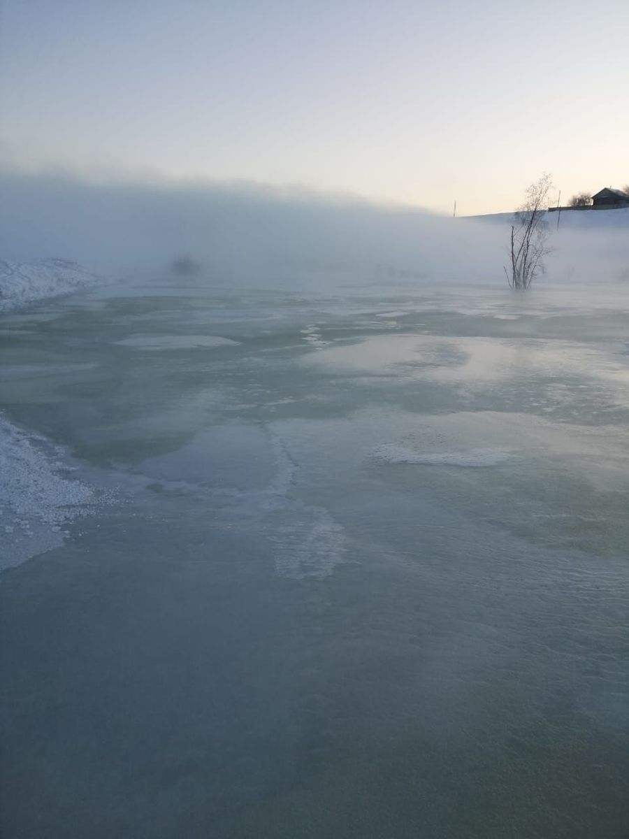 Курлыч затопили грунтовые воды (Фото и видео)