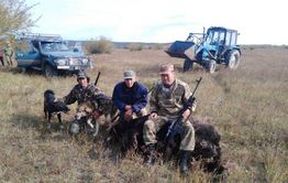 Пострадавшего от нападения медведя сотрудника заповедника в Забайкалье госпитализировали
