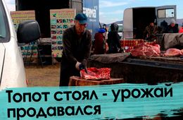 Сбыть или не сбыть? Топот стоял - урожай продавался