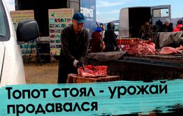 Сбыть или не сбыть? Топот стоял - урожай продавался