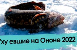 Рыбалка в Забайкалье: улов есть!