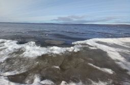 Беспокойный Арахлей перед ледовым гардеробом....