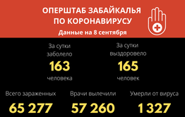 В Забайкалье выявили 163 новых случая заражения коронавирусом за сутки