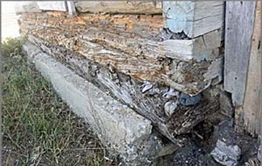 На бездушие чиновников жалуется пенсионер из Агинского района
