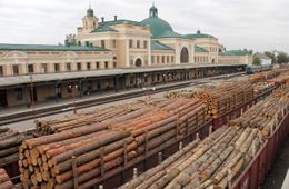 Контрабандисты леса осуждены в Забайкалье 