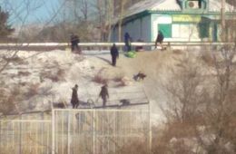 ​Первомайцы и ясногорцы возмущены, что в их поселках не залили горки для детей