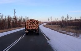 Дровяной голод: Как преодолеть дефицит дров краю, покрытому лесом на 70%?