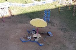 Стая собак напала на 8-летнюю девочку в центре Читы