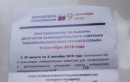 Читинку пригласили на прошлогодние выборы