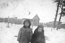 Про Шевелевых из Брянской области