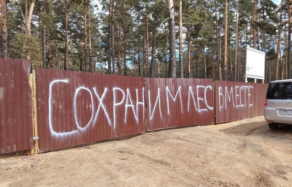 Защитите лес от чиновников!