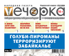 «Вечорка» № 46: Голуби-пироманы терроризируют Забайкалье