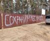 Защитите лес от чиновников!