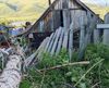 Ураган повалил тополь в селе Дунаево в Забайкалье
