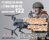 Забайкальские соколы   