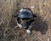 163 тысячи 200 рублей поступило в вечоркину кубышку