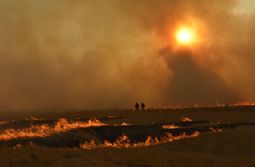 Этюд в багряных тонах. Степной пожар в Забайк...