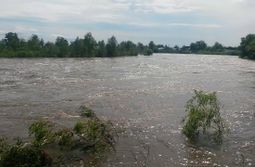В реке Читинка утонули мужчина и ребенок
