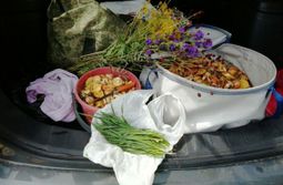 Какое лето в Заяблонье: грибы, цветы, мангыр ...