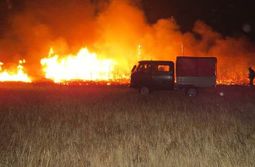 Пожарным удалось локализовать лесной пожар в «Цасучейском бору»