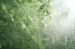 МЧС сообщает: в Забайкалье все спокойно, ожидаются дожди, местами даже сильные