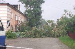 Штормовой ветер повалил деревья в Сретенском ...