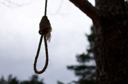 Мёртвого мужчину нашли висящим на дереве на КСК в Чите